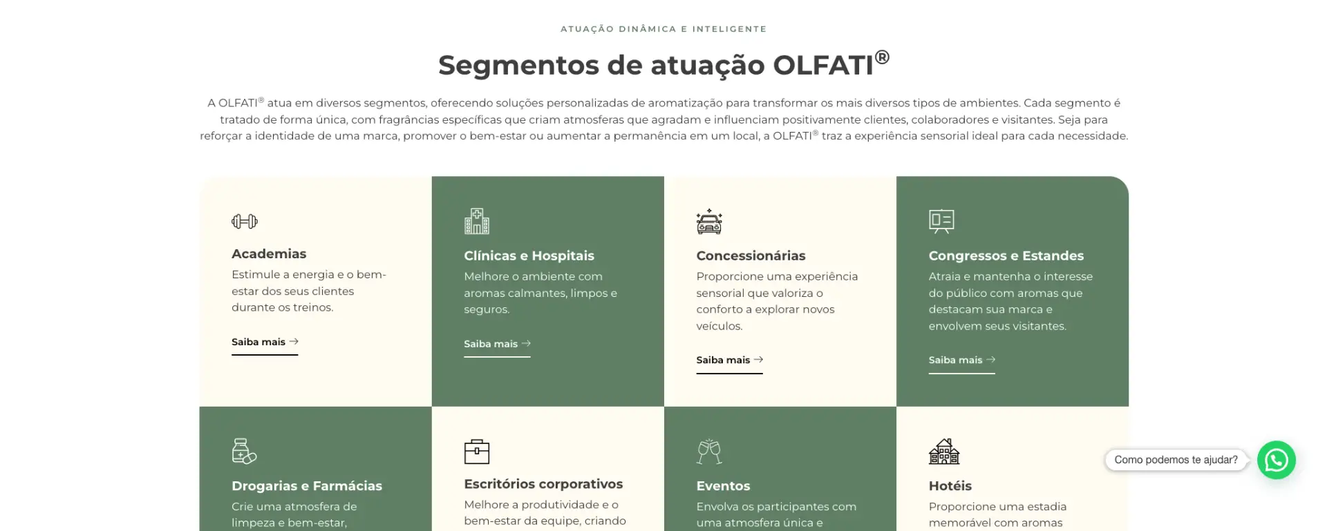 Segmentos de atuação em que a Olfati opera