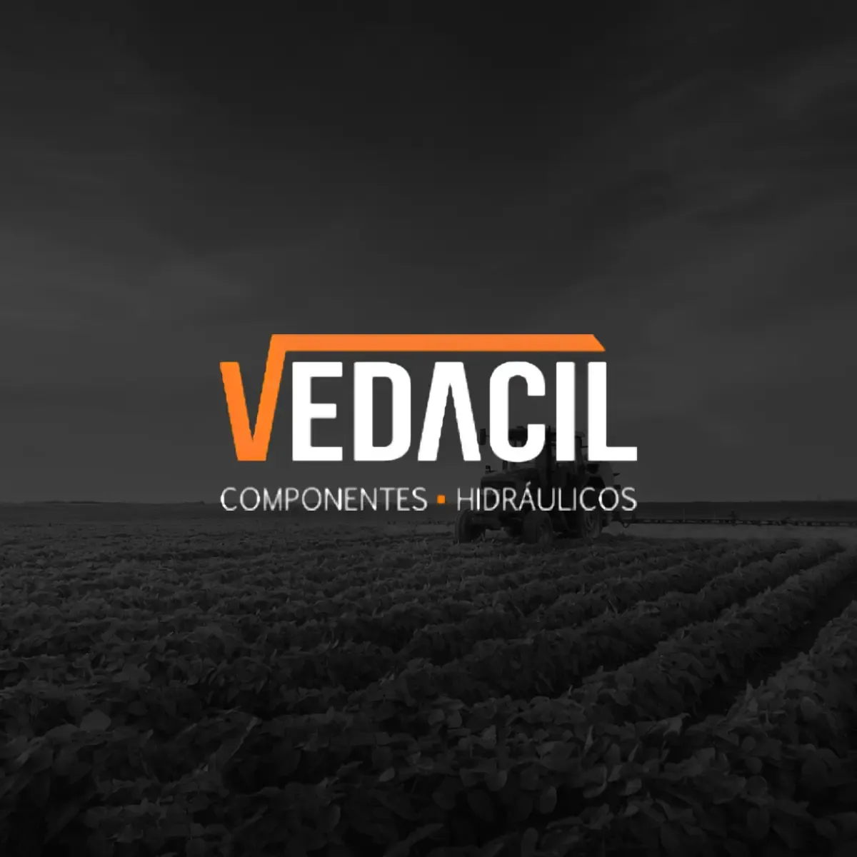 Vedacil